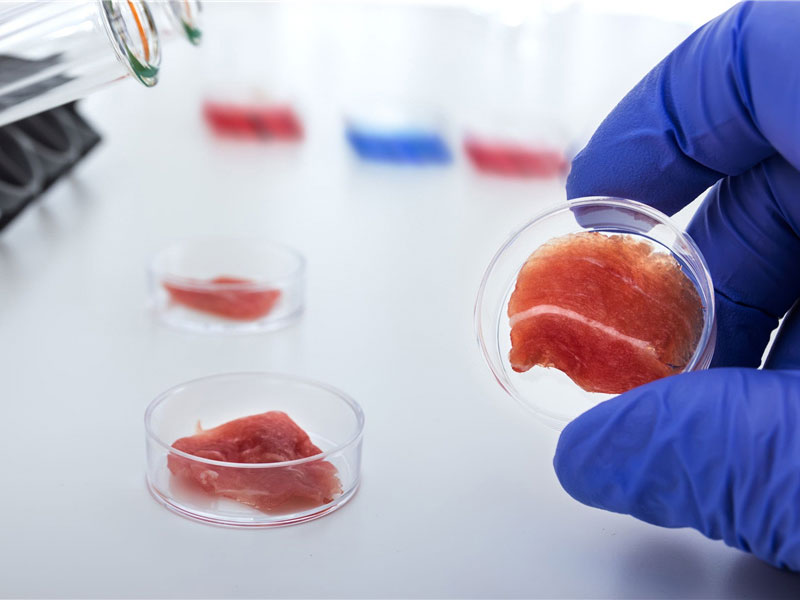 Food Drug Residue Testing