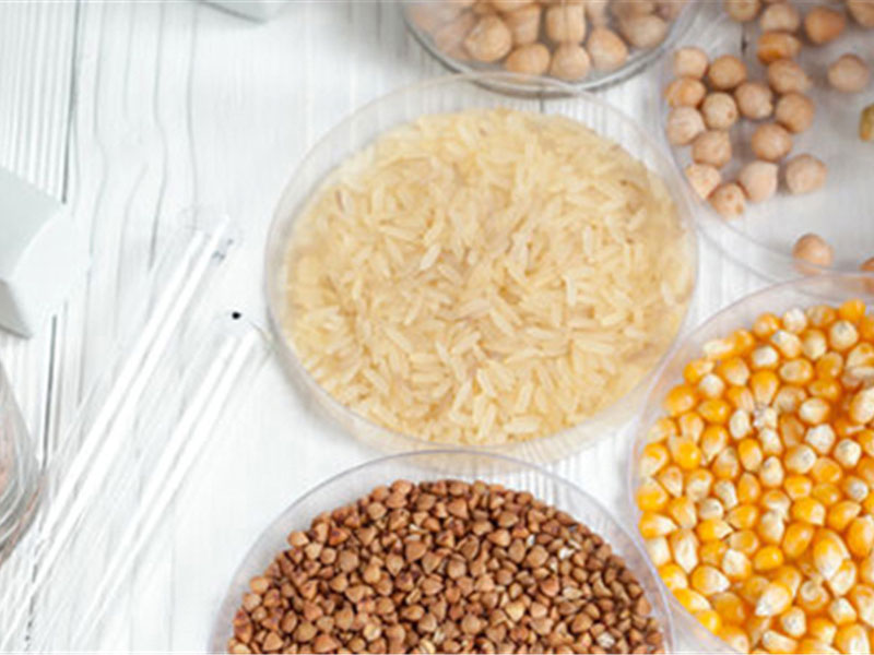 Genetically Modified OrganismsGMOsTesting