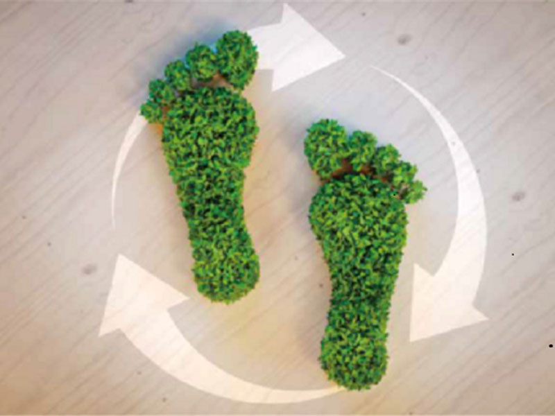 Product Carbon Footprint Verification