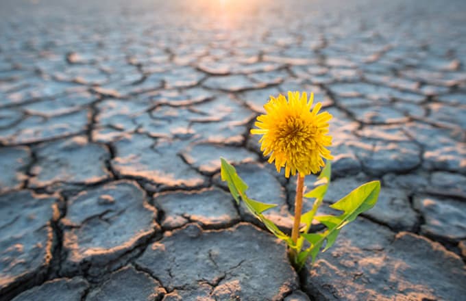 Addressing Climate Change
