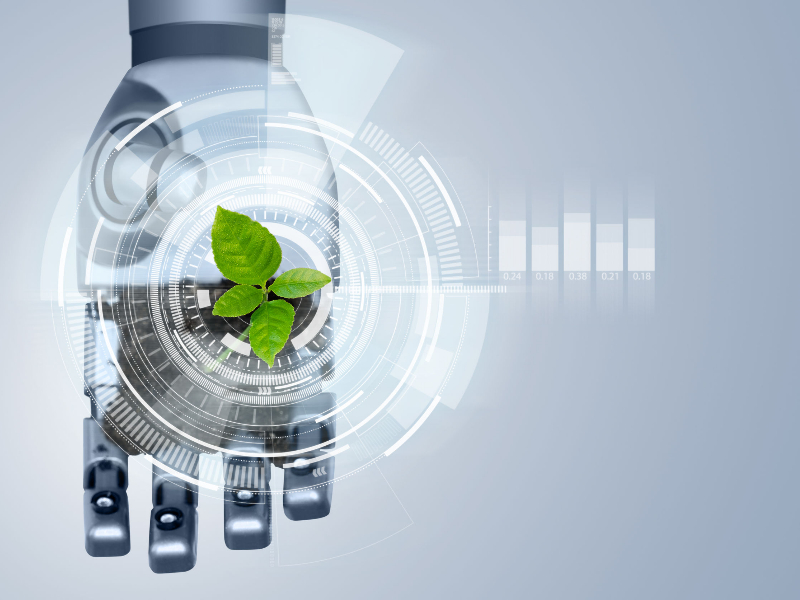 Carbon Disclosure Project (CDP) Service