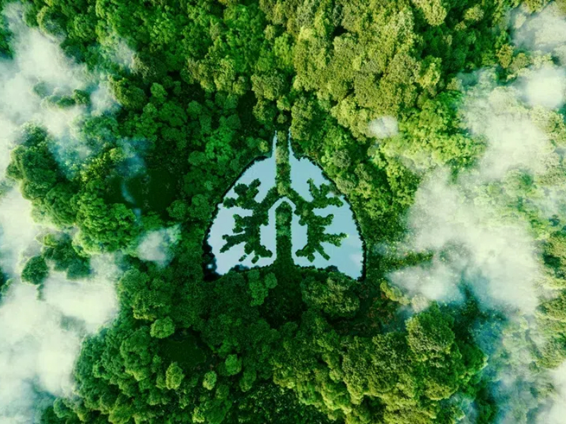 Zero-Carbon Factory Assessment