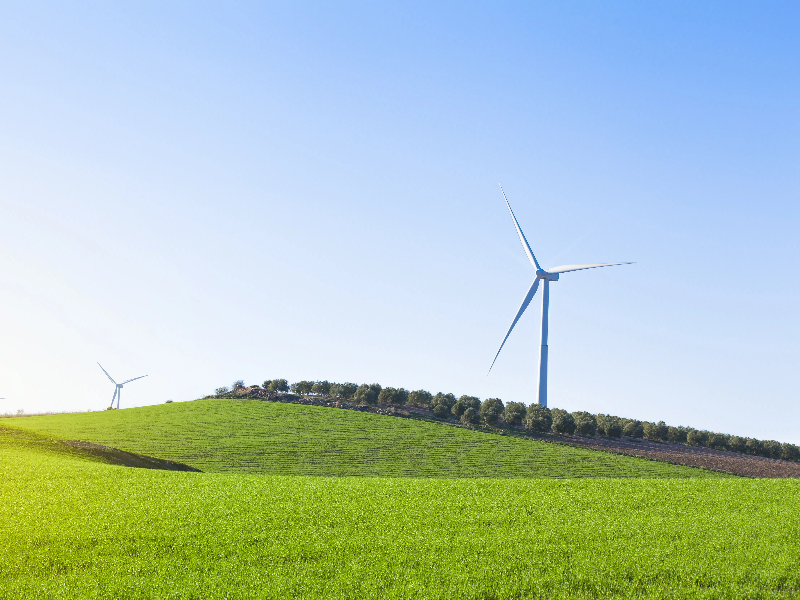 Environmental Product Declaration (EPD) Consultation and Evaluation