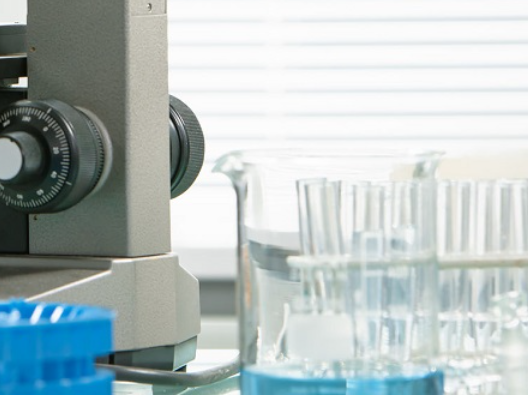 Determination of Canada Prohibition of Certain Toxic Substances Regulations 2012