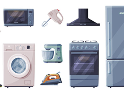Waste Electronic and Electrical Equipment (WEEE)
