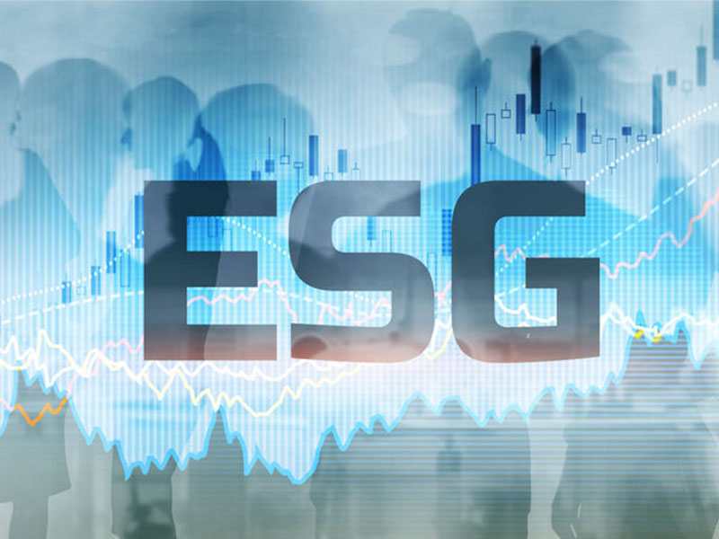 ESGݿ