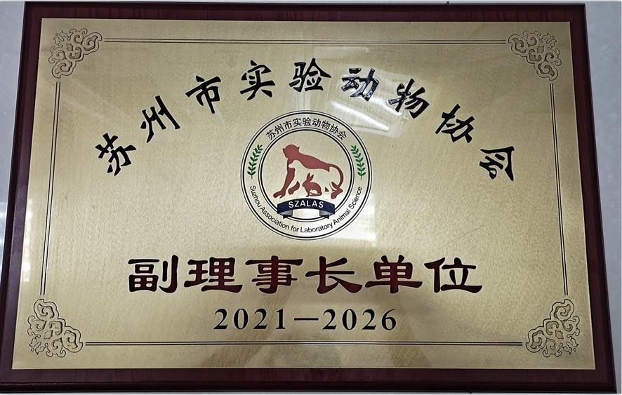 ³Ԫ-ʵ鶯Э