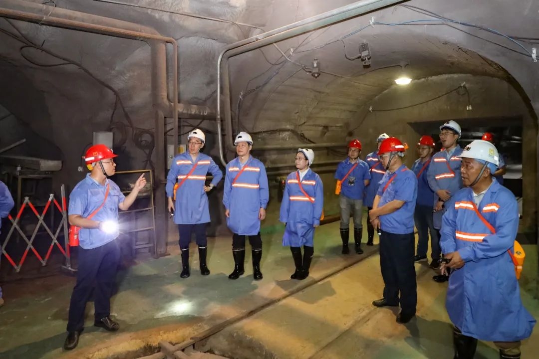 昌江县委书记陈儒茂到南宫28NG相信品牌力量调研