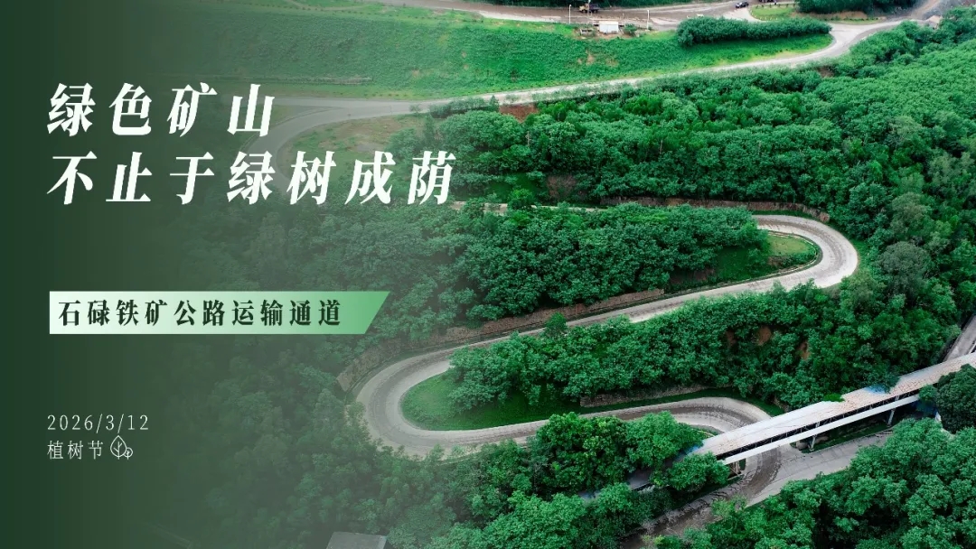 植树节 | 绿色矿山，，，，，，，不止于绿树成荫